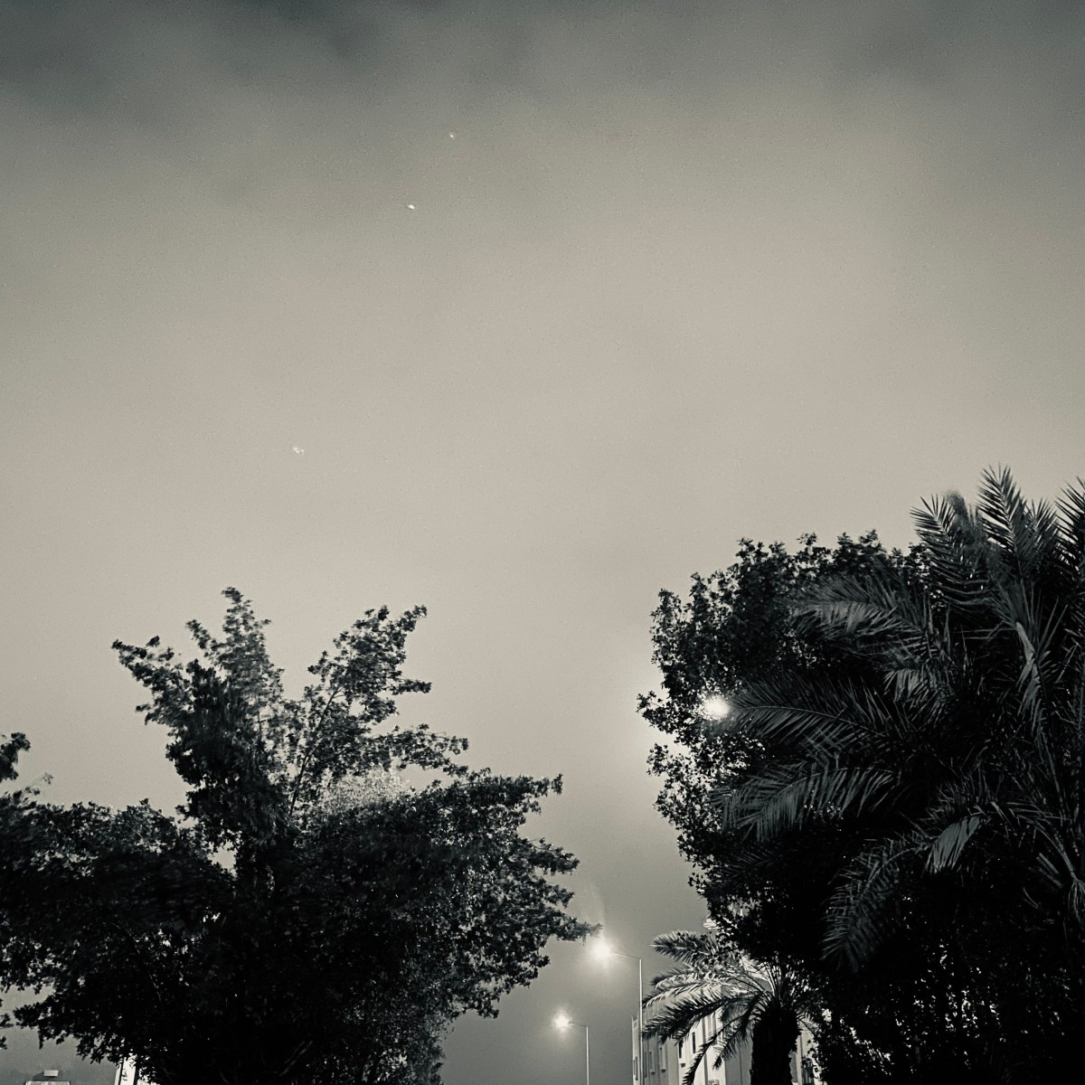 تجليات بصرية: المُغيث